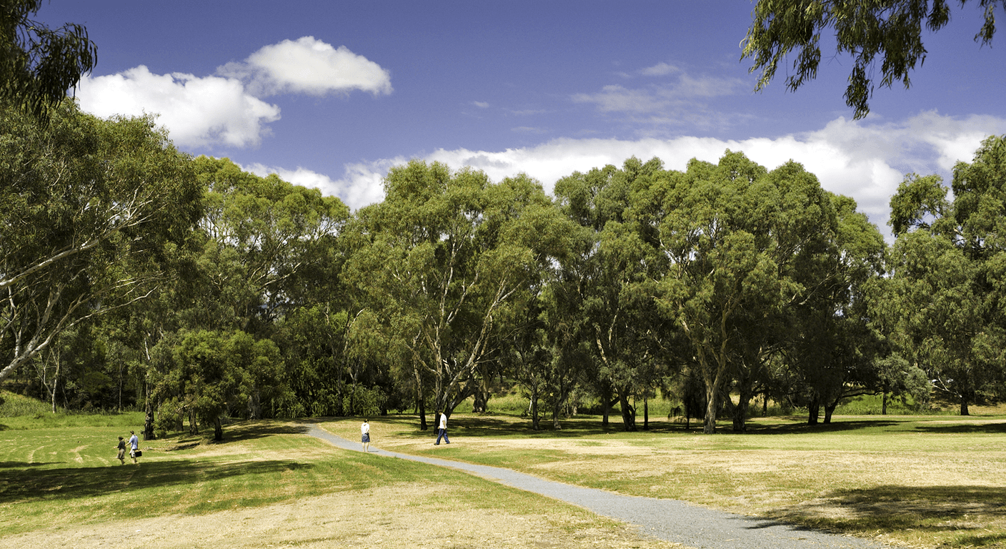 Adelaide's Linear Park: Flat, Traffic-Free Cycling Along the Torrens