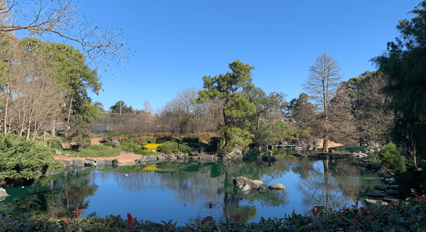 Auburn Botanic Gardens: Sydney's Japanese Garden and Cherry Blossom Season