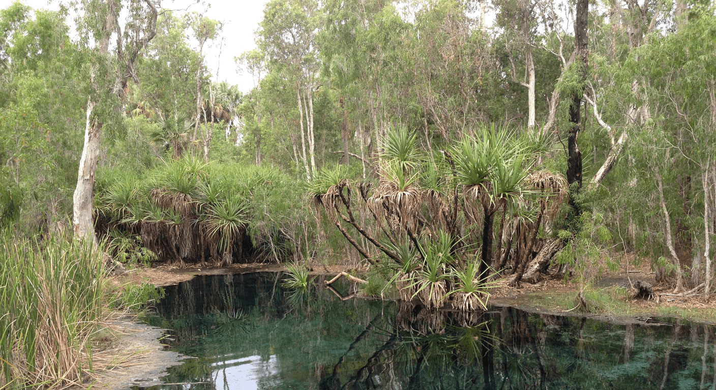 Australia's Natural Hot Springs: A Bucket List for the Over-50s