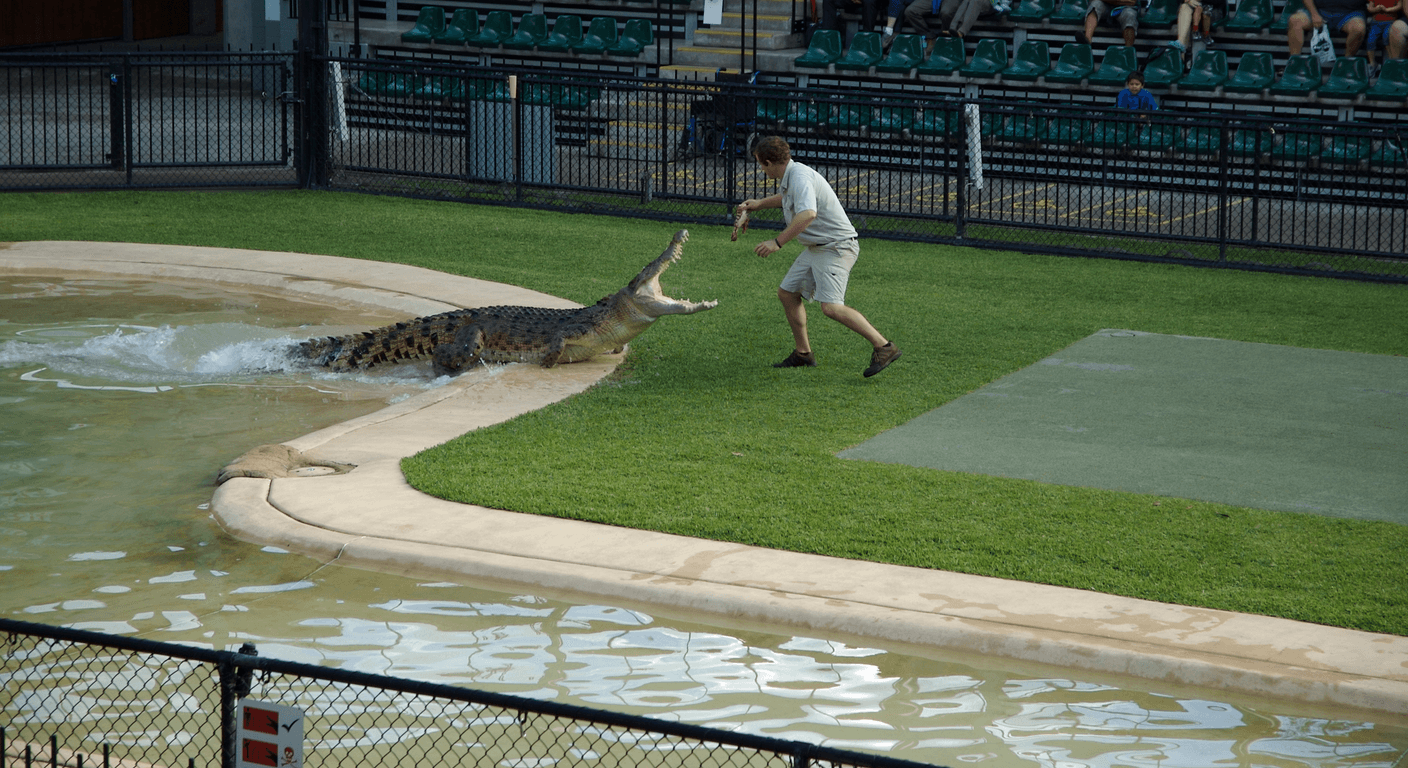 Australia Zoo at Beerwah: The Irwins' Zoo Done at a Comfortable Pace