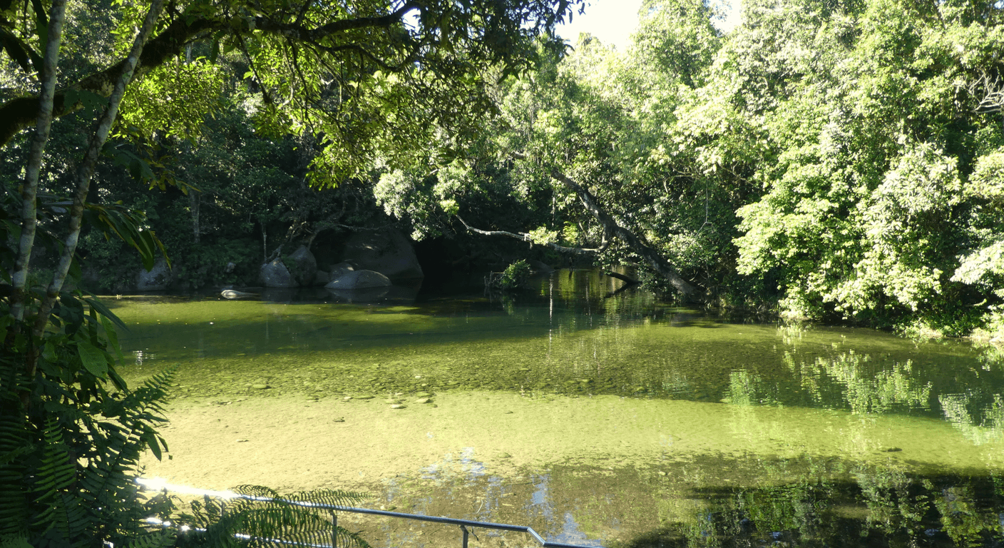 Babinda Boulders and Josephine Falls: Free Rainforest Swimming Holes South of Cairns