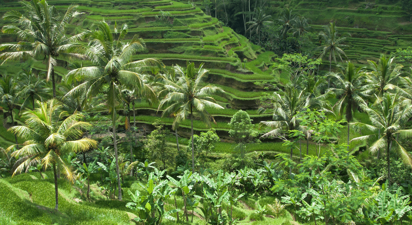 Is Bali Safe for Solo Female Travellers Over 50? An Honest Guide