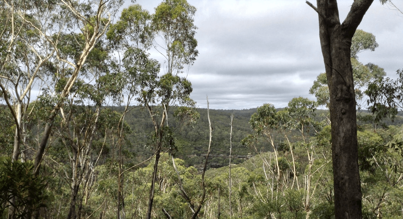 The Grand Canyon Track at Blackheath: Knowing Your Limits