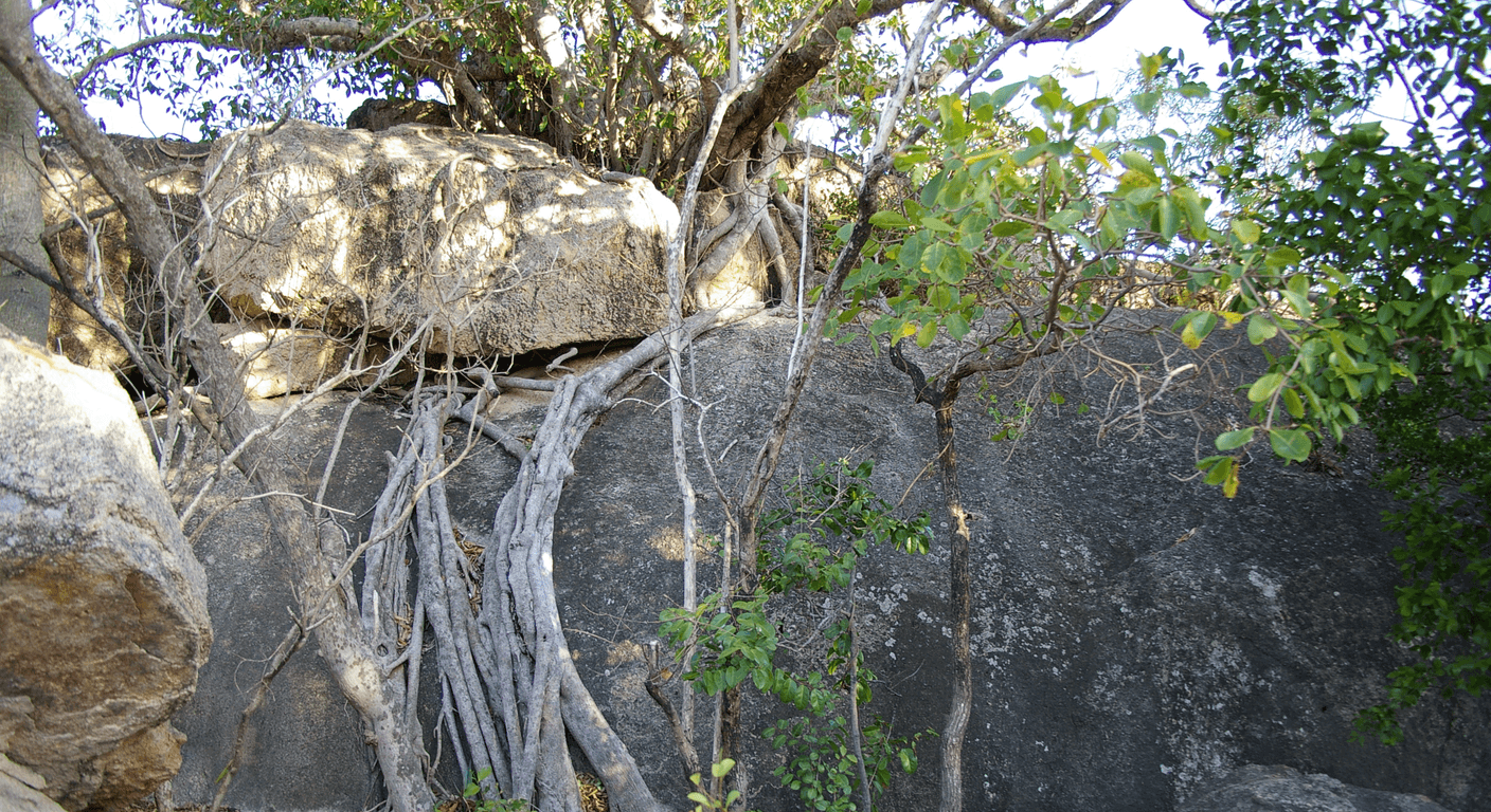 Bowen: Murals, the Big Mango and Sheltered Horseshoe Bay