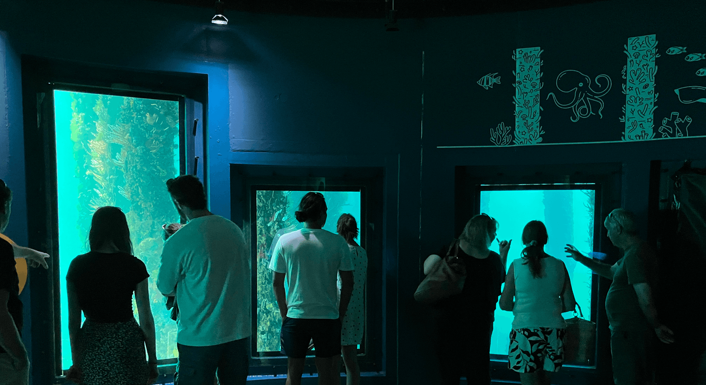 Busselton Jetty: The Underwater Observatory for Over-50s