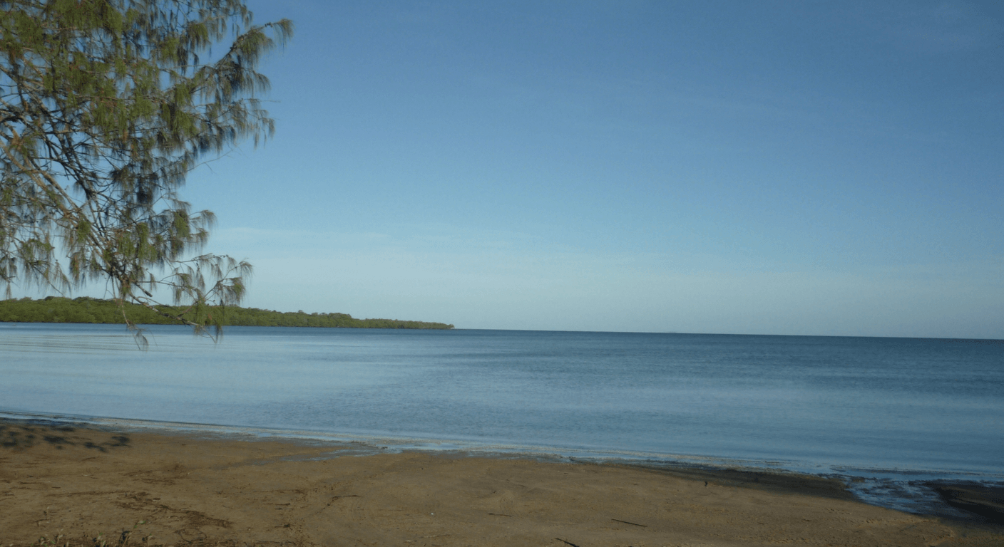 Cape Hillsborough: Wallabies on the Beach at Sunrise Near Mackay