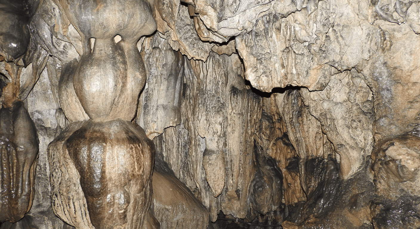 Capricorn Caves: Limestone Chambers North of Rockhampton