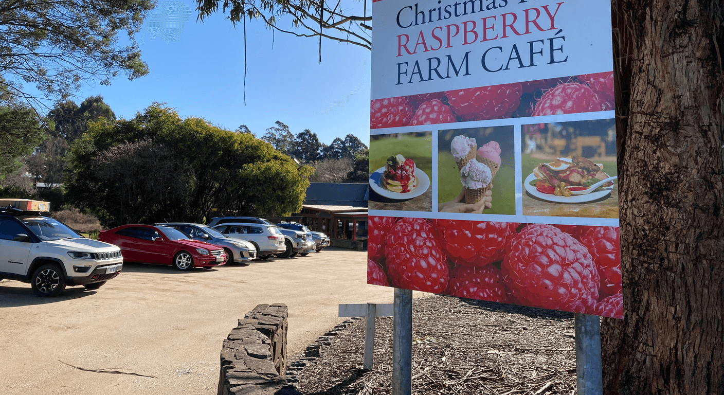 Christmas Hills Raspberry Farm: Berries, Cream and a Lakeside Lawn