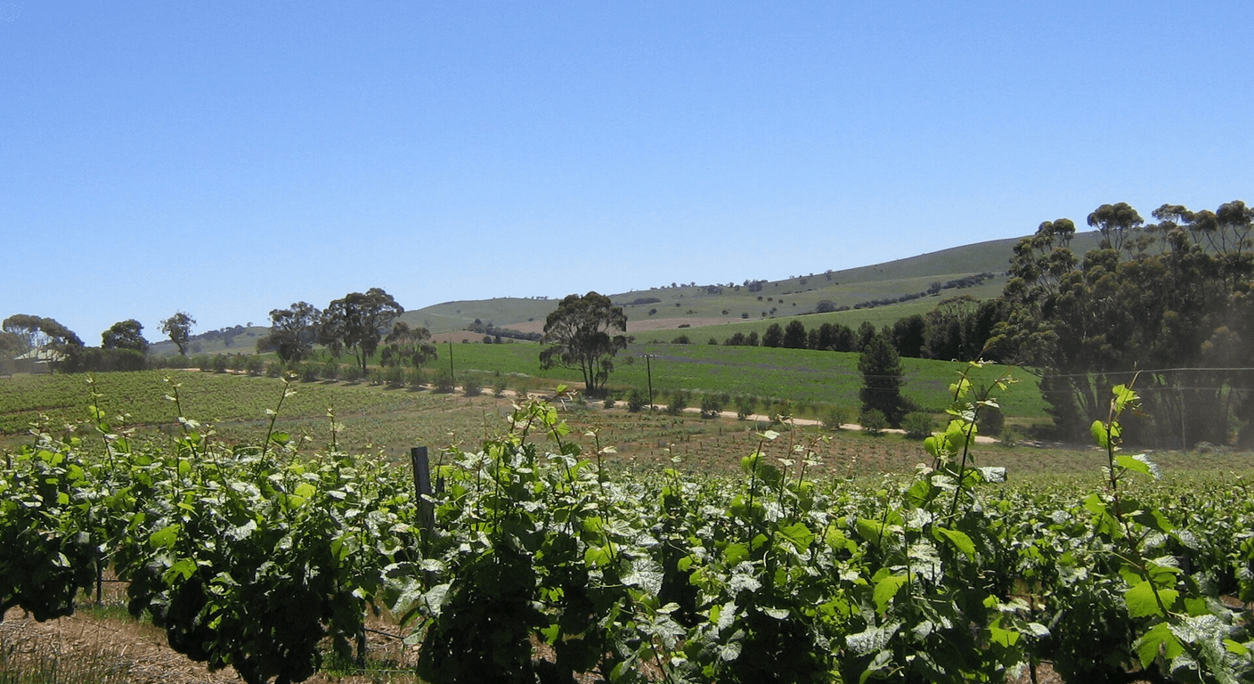 The Clare Valley: South Australia's Quieter Wine Country