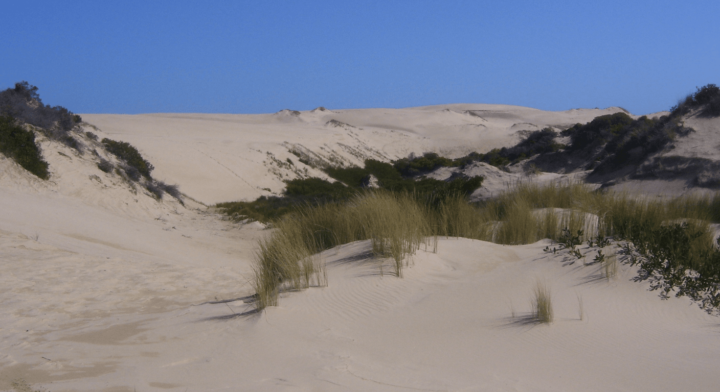 The Coorong: A Wetland Wilderness Day South of Adelaide