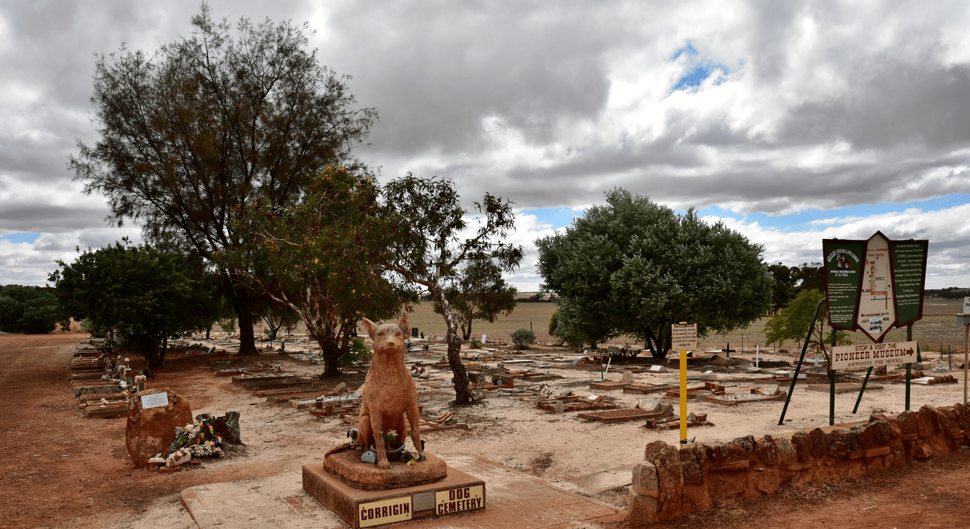 Corrigin Dog Cemetery: A Wheatbelt Curiosity Worth the Detour for Over-50s