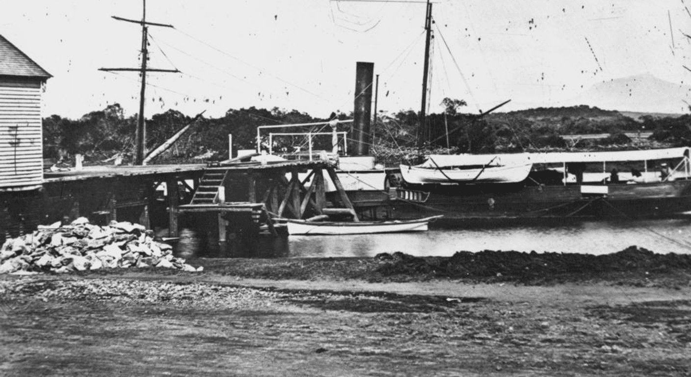 Daintree River and Cape Tribulation: Crocodiles, Ferry and Boardwalks