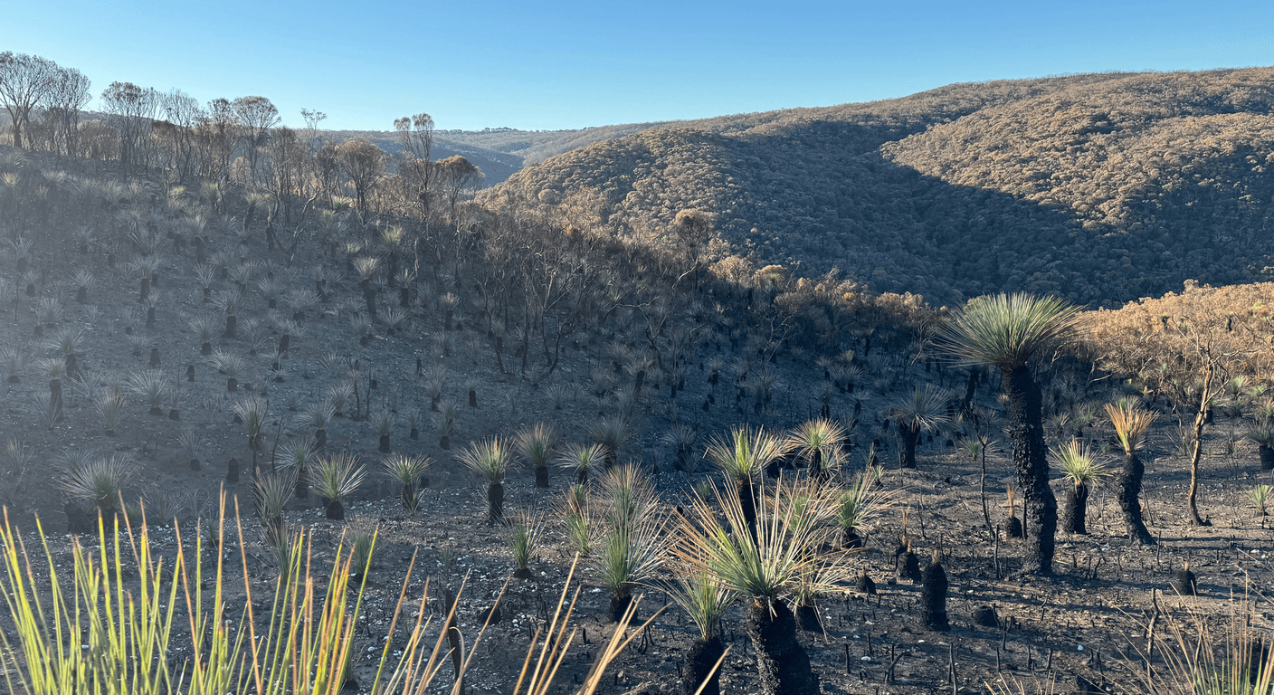 Deep Creek National Park: An Honest Over-50s Guide to the Fleurieu's Wild South