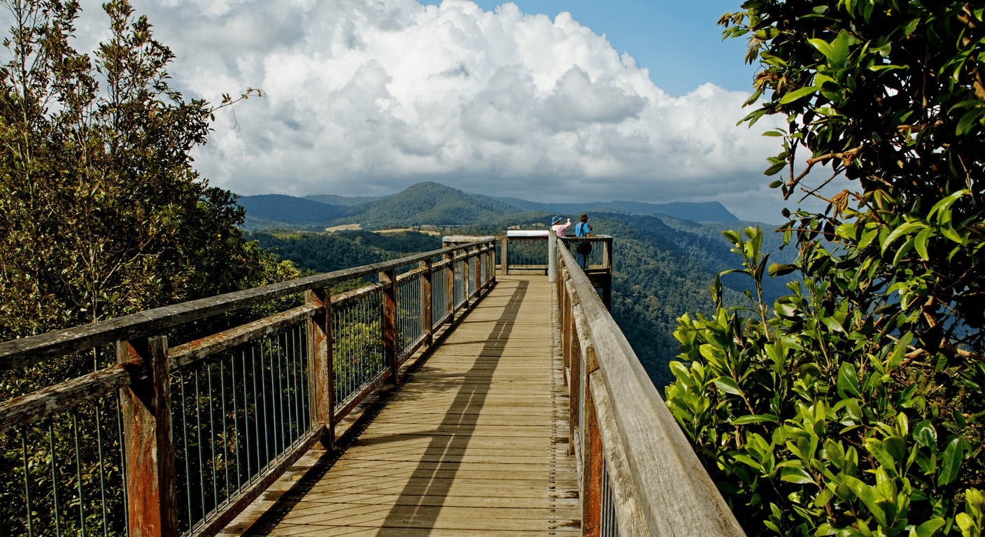 Dorrigo National Park: The Skywalk Over World Heritage Rainforest