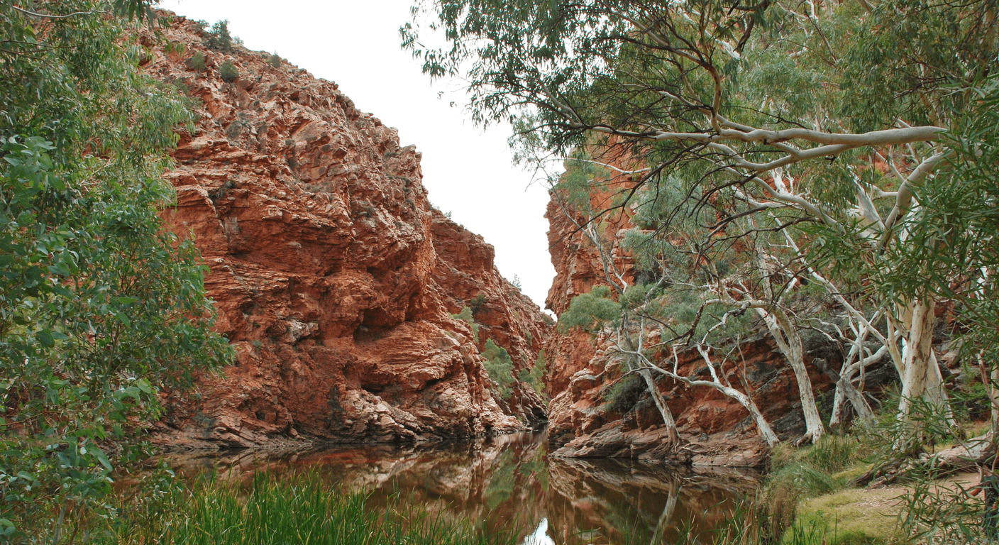 Ellery Creek Big Hole: A Red Centre Swim Between Cliffs