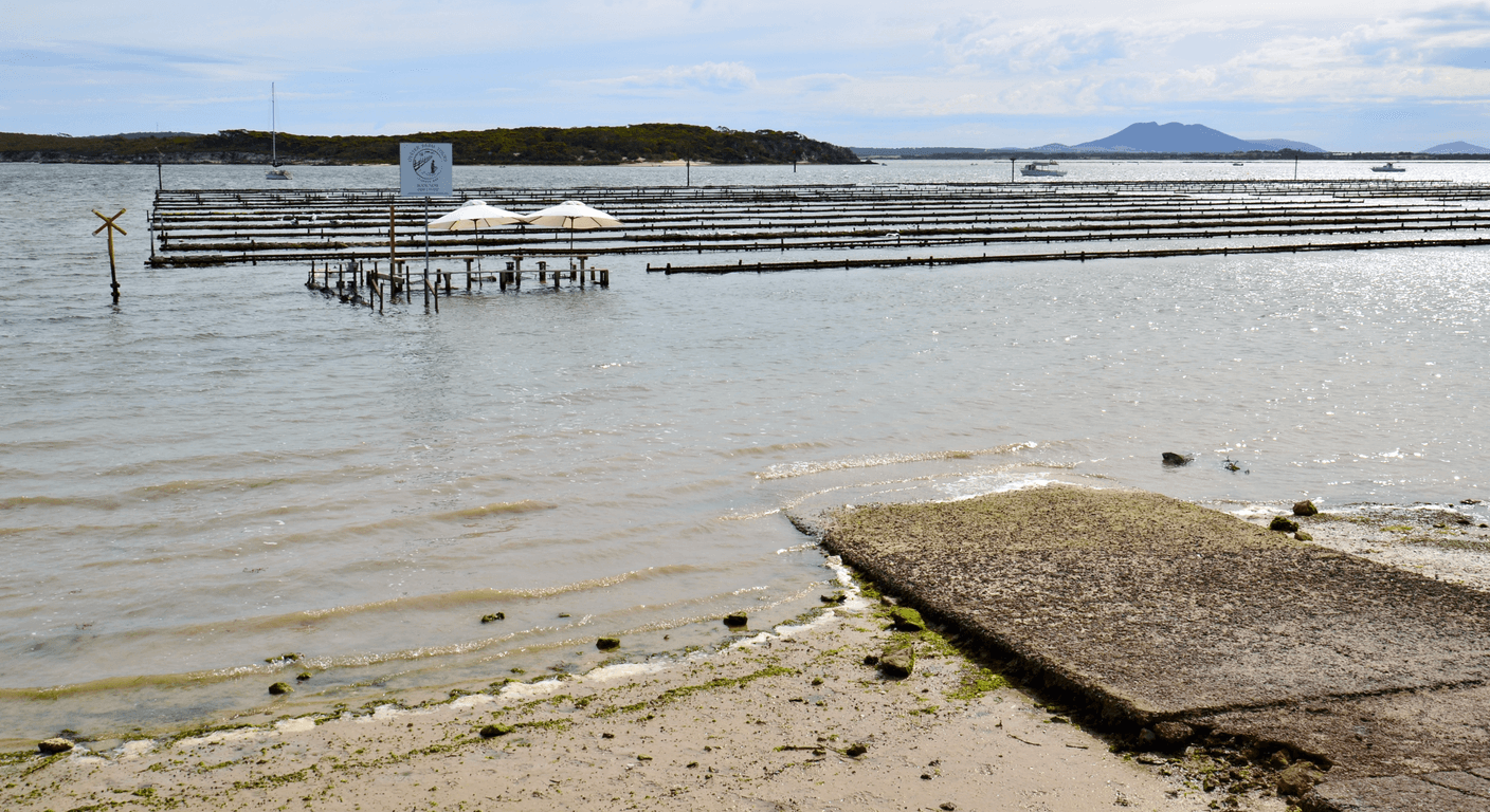 The Eyre Peninsula Seafood Trail: Oysters at the Source