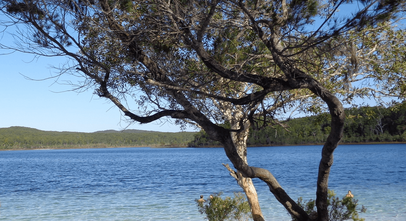 K'gari (Fraser Island) for Over-50s: What the 4WD Requirement Actually Means