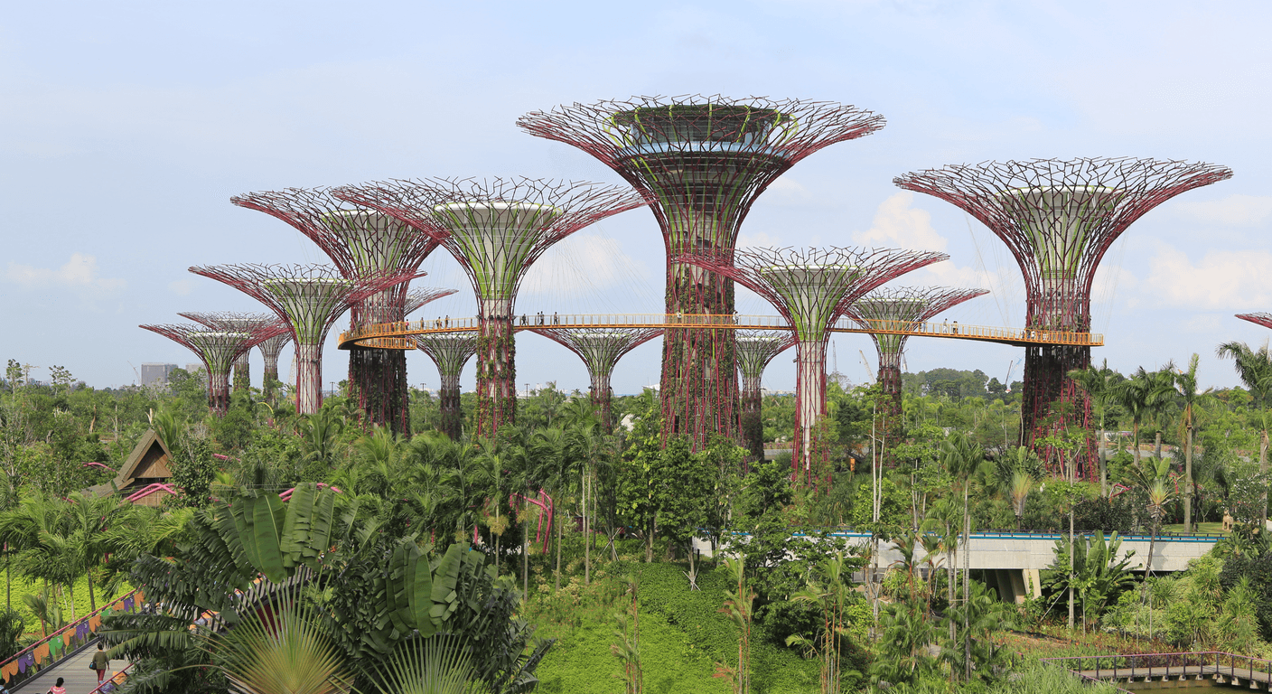 Gardens by the Bay: A Gentler-Paced Visit for Over-50 Travellers