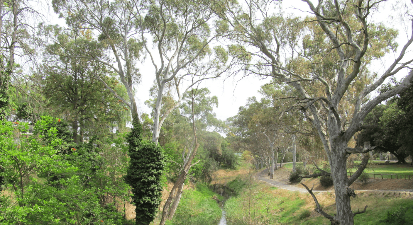 Gawler's Para River Trail: A Different Side of South Australia's First Country Town