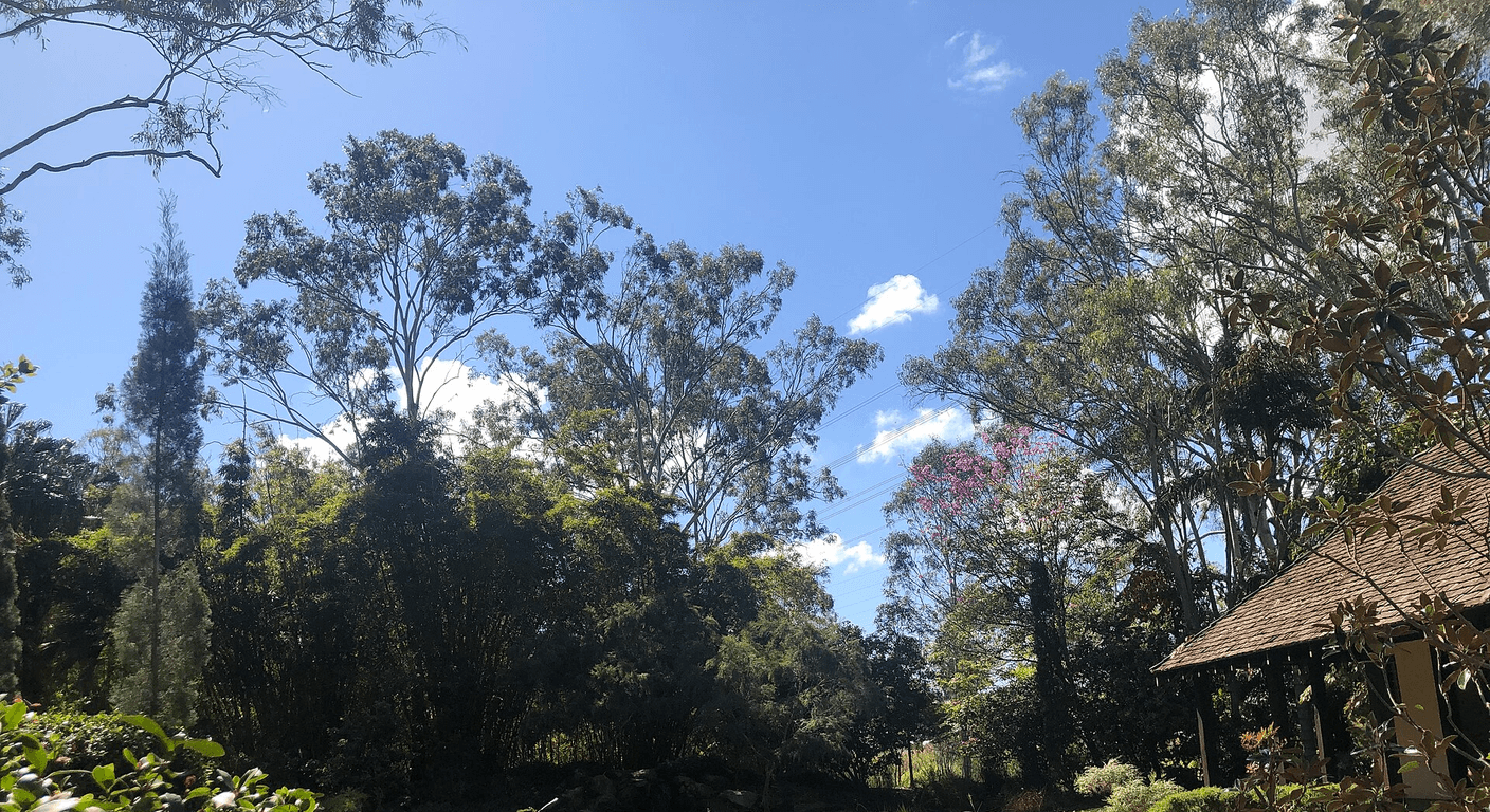 Gladstone's Tondoon Botanic Gardens: Free Native Gardens in an Industrial Port City
