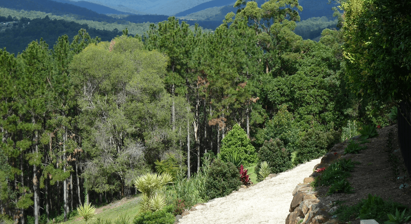 The Honest Cost of a Self-Drive Day in the Gold Coast Hinterland