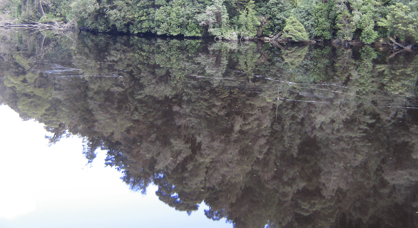 The Gordon River Cruise: Tasmania's World-Heritage Wilderness by Boat