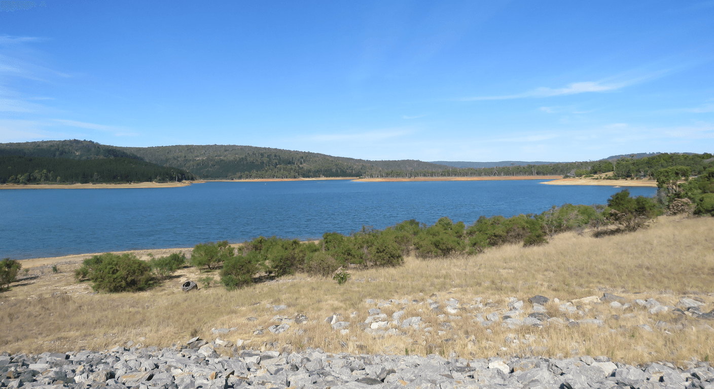 Harvey Day Trip: Dam Views, Cheese and Citrus Country for Over-50s