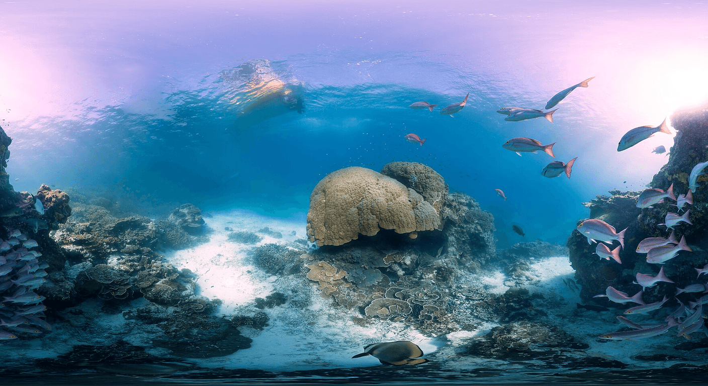 Heron Island: A Coral Cay Stay Where the Reef Starts at the Beach