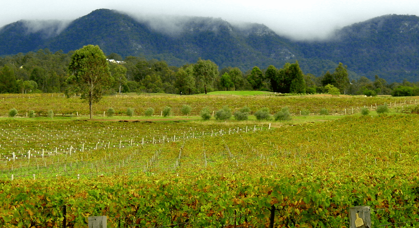 Hunter Valley Gardens and Pokolbin Without the Wine Focus