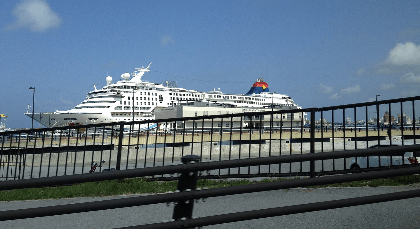 Japan and Asia Cruises for the Over-50s: A Planning Guide