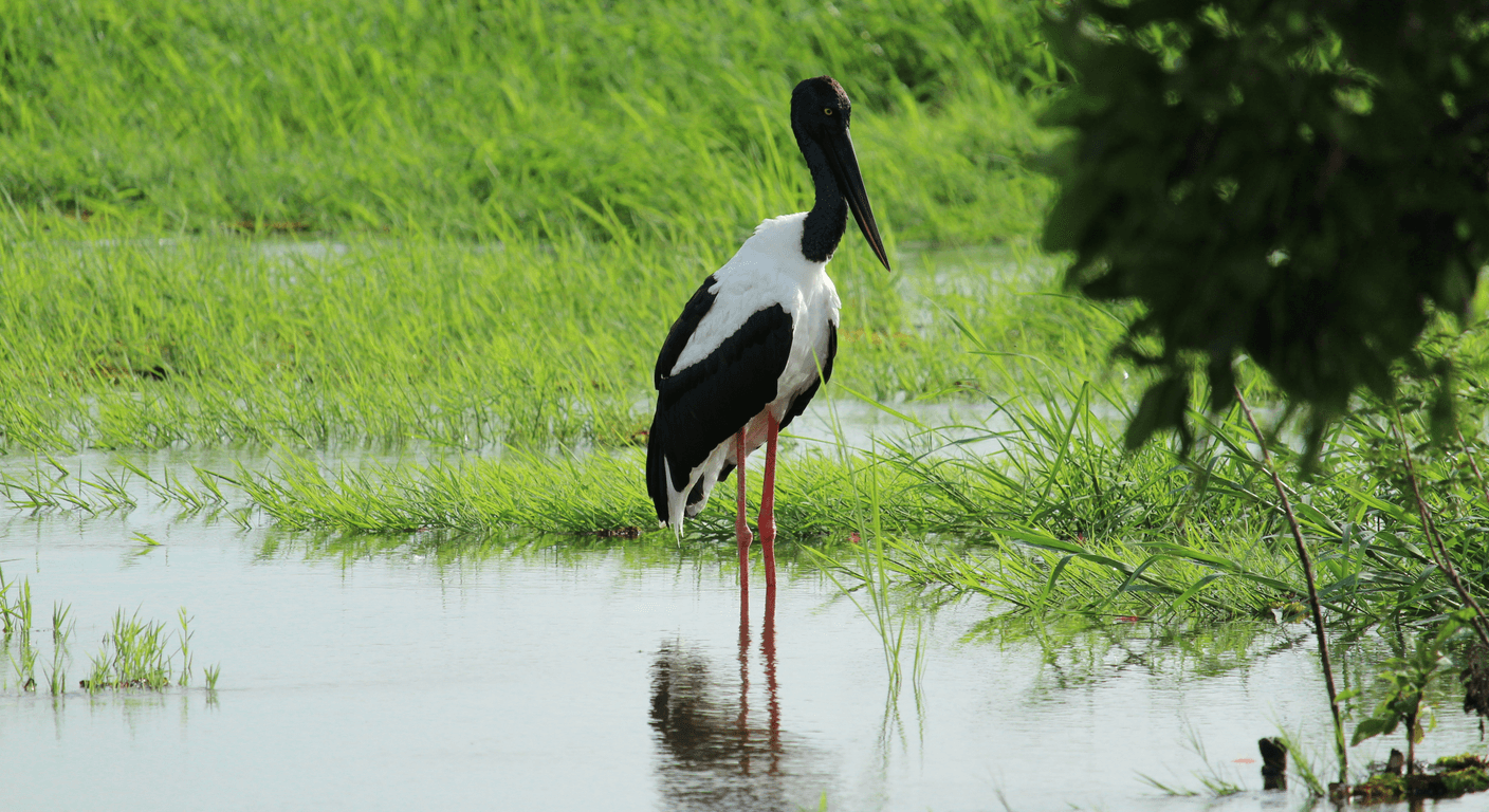Kakadu National Park: A Holiday for Over-50 Australians