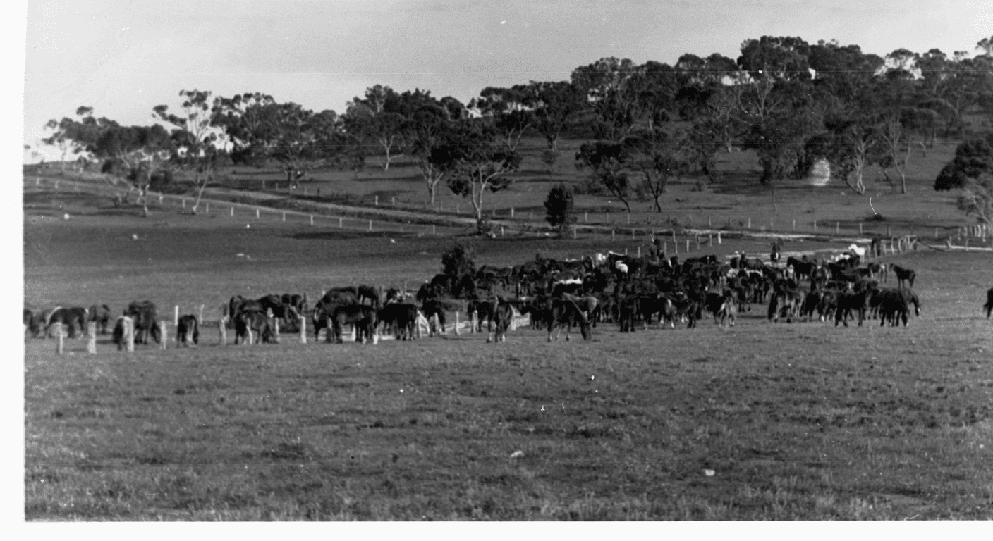 Kapunda: Australia's First Copper Town and the Map the Miner Statue
