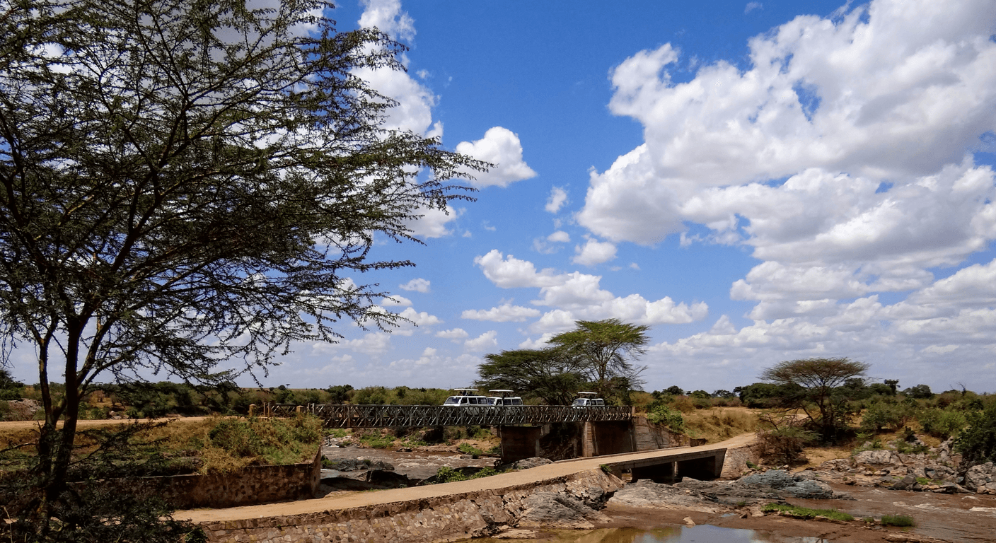Kenya or Tanzania? Choosing Your First African Safari After 50