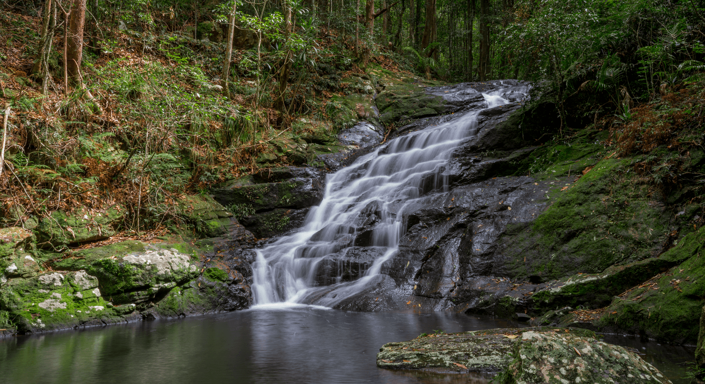 Kondalilla and Mapleton Falls: Two Waterfalls in the Sunshine Coast Hinterland