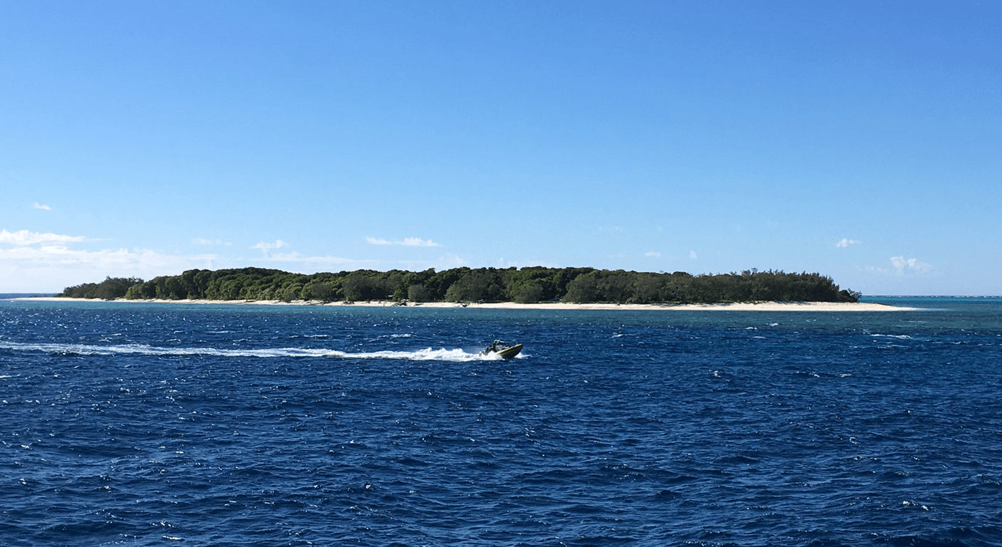 Lady Musgrave Day Cruise: A Reef Lagoon and Pontoon off Bundaberg