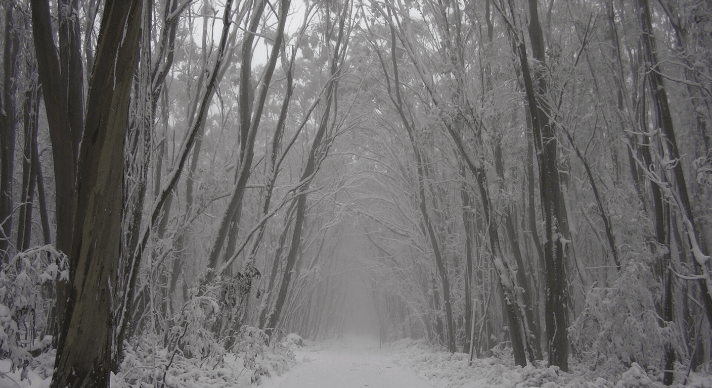 Lake Mountain in Winter: A Gentle Snow Day Without Skis