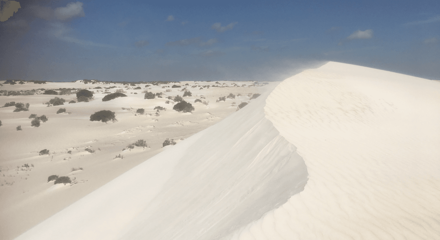 Lancelin Sand Dunes: A Look-Don't-Climb Guide for Over-50 Visitors