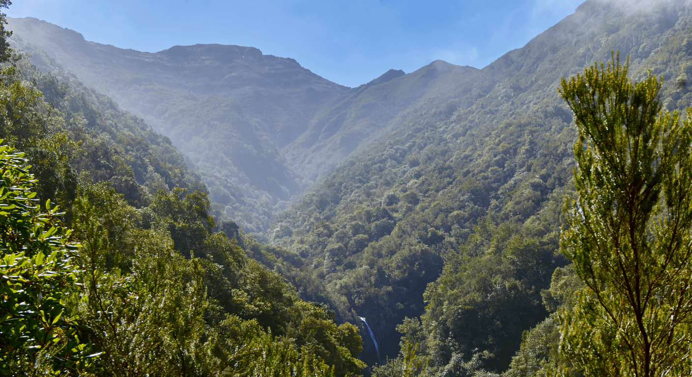 Madeira: Portugal's Atlantic Island of Levada Walks and Eternal Spring