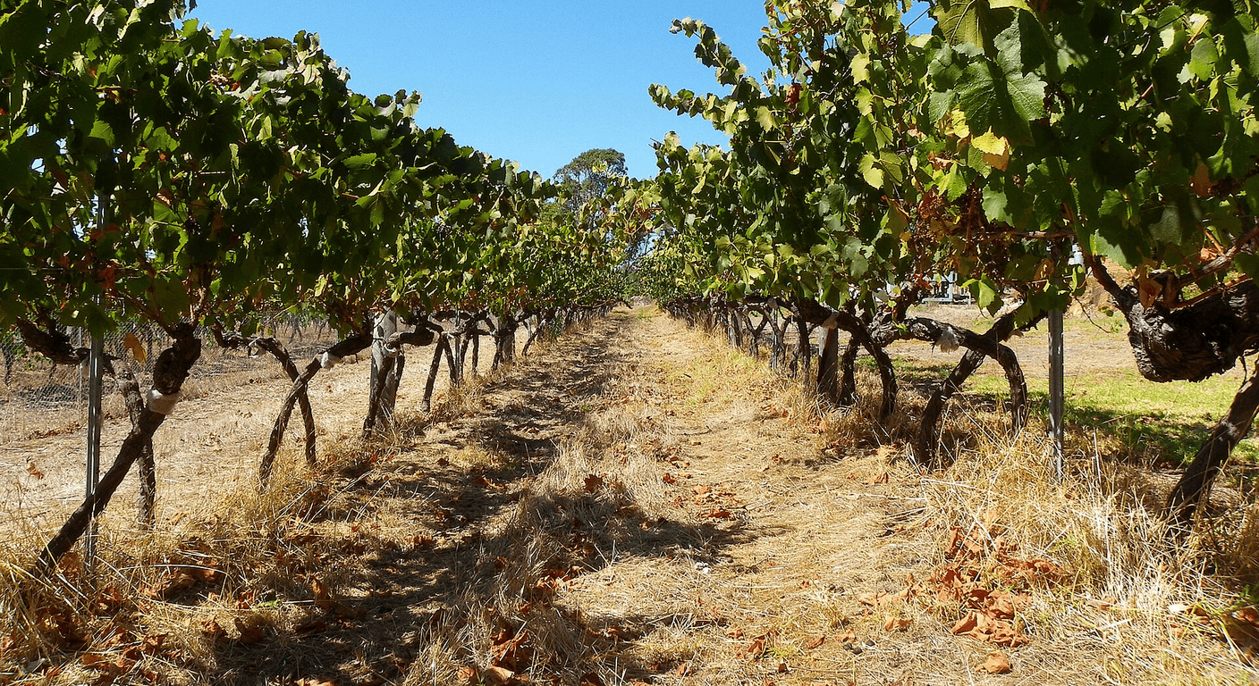Margaret River: A Wine and Coast Weekend for Over-50s