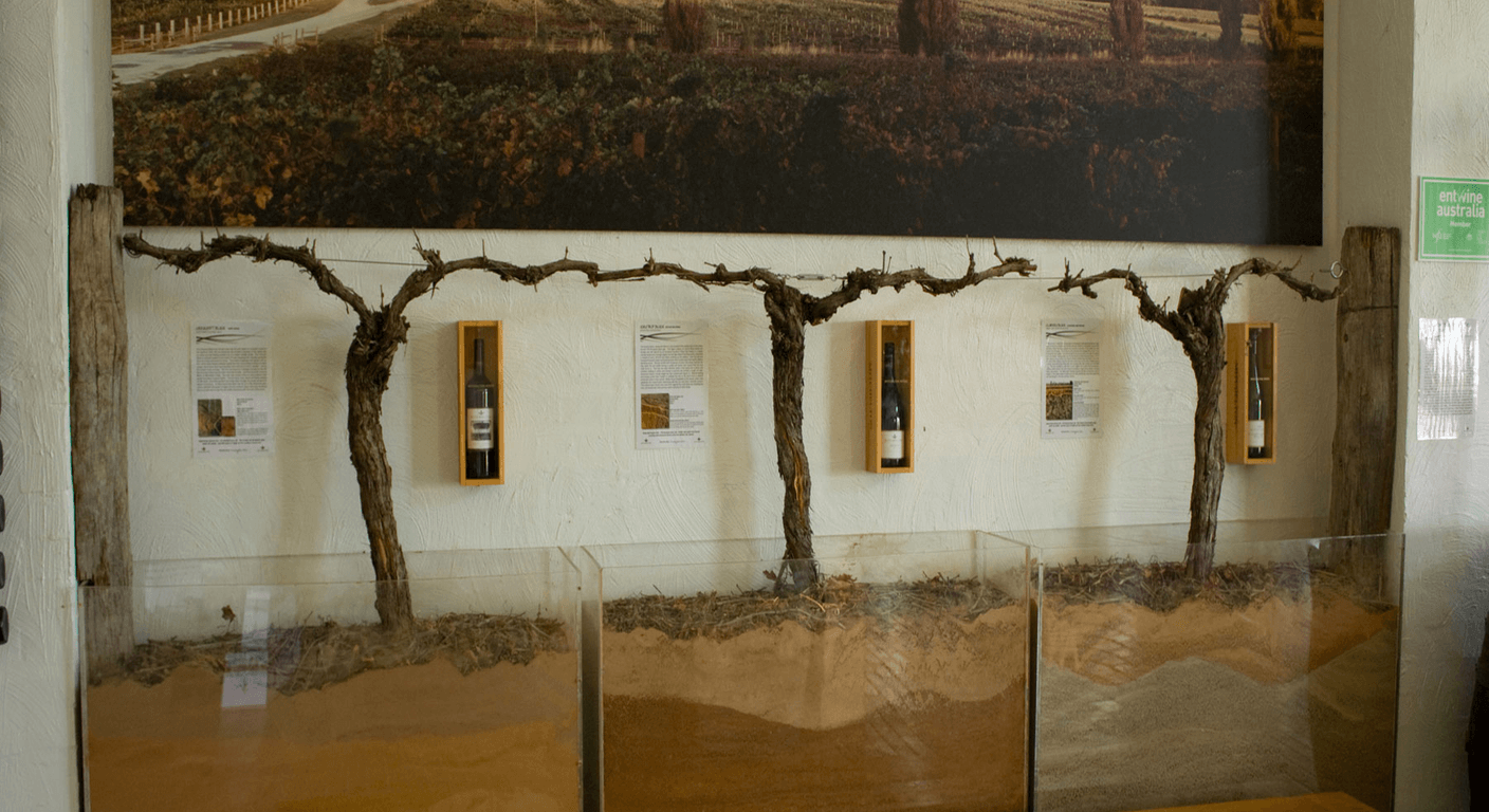 Mornington Peninsula Wineries Without the Driving Worry
