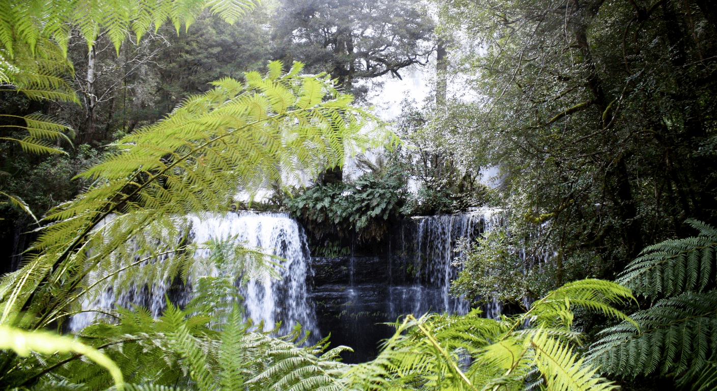 Mount Field and Russell Falls: Tasmania's Easiest Great Waterfall