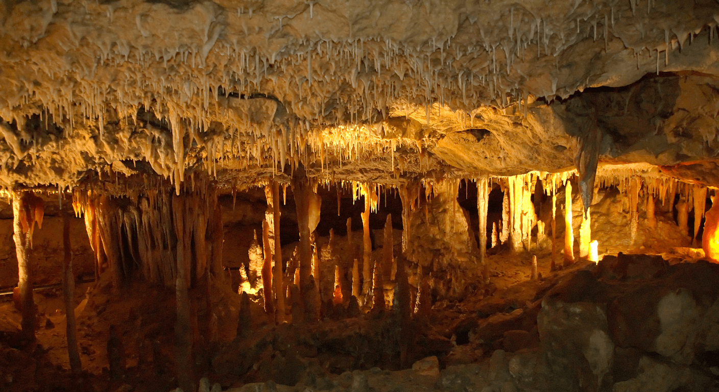 Naracoorte Caves: South Australia's Only World Heritage Site, Honestly Reviewed
