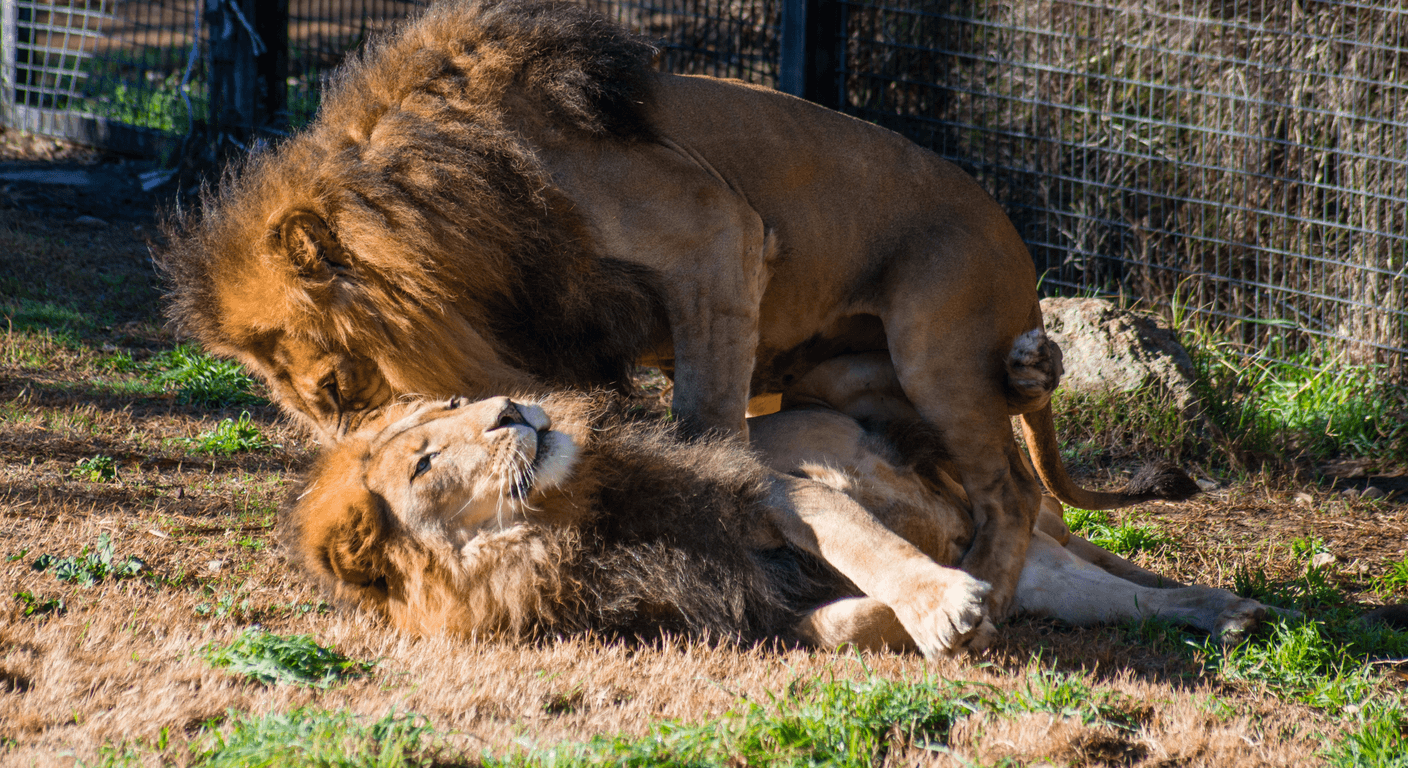National Zoo and Aquarium: Canberra's Hands-On Wildlife Day