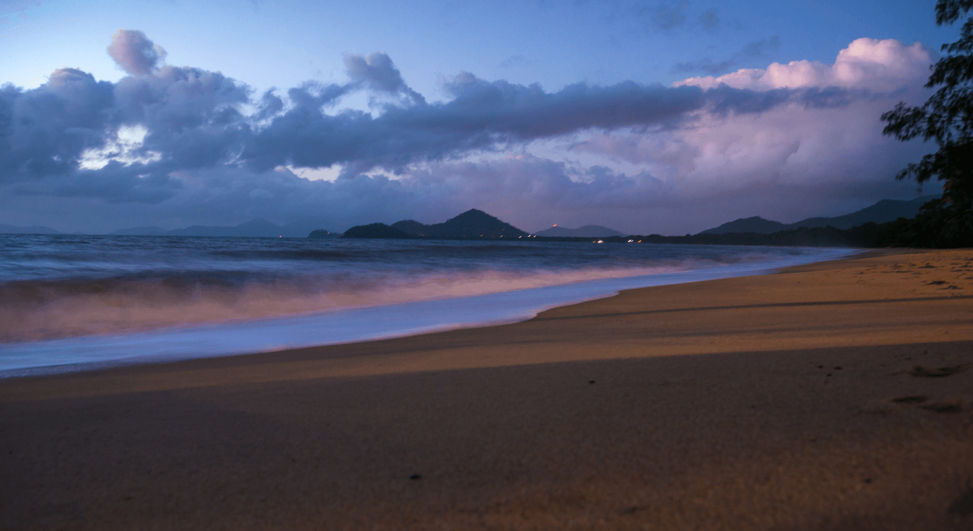 Palm Cove: Paperbarks, Jetty and the Gentlest of Cairns' Northern Beaches