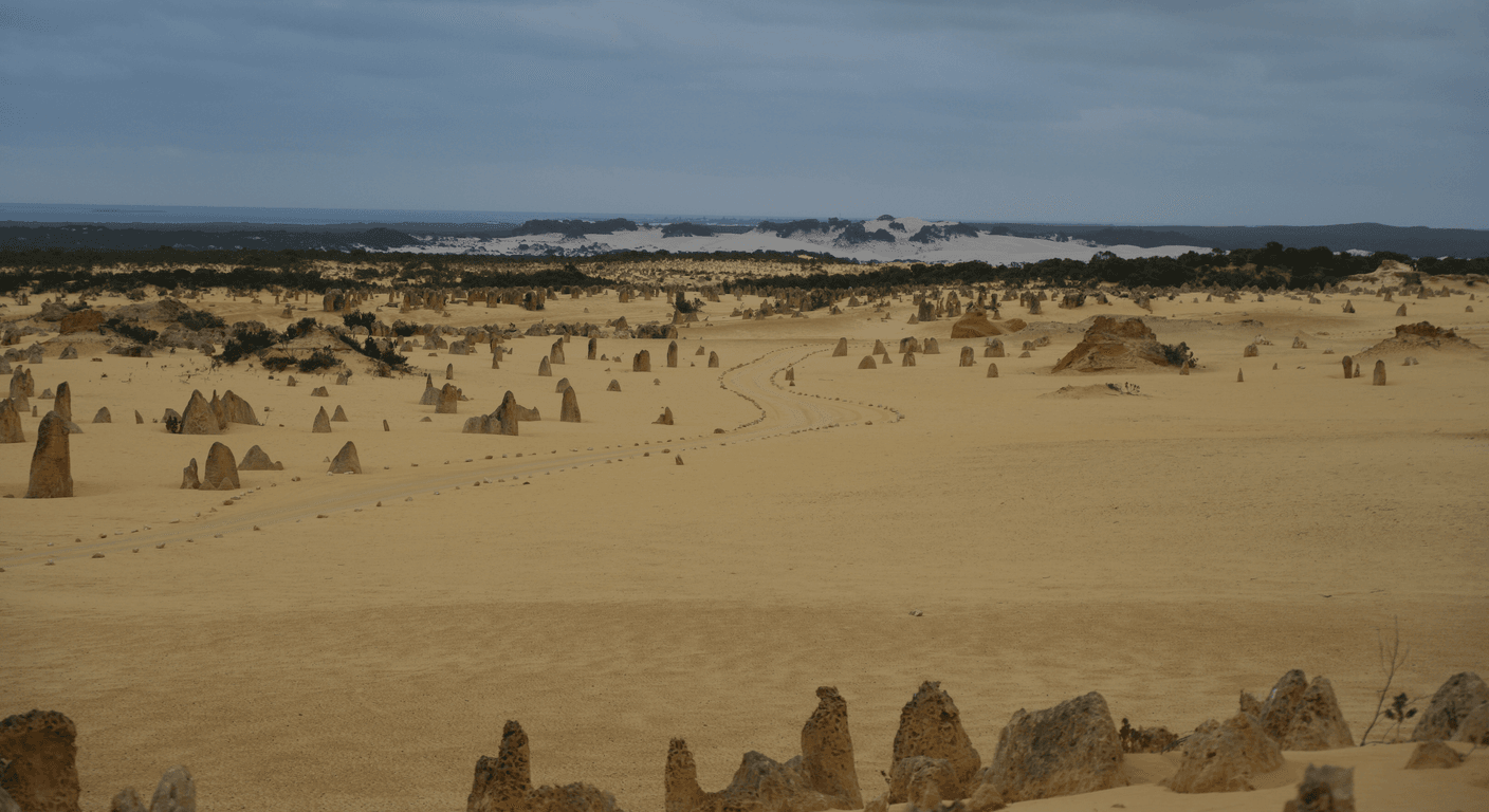 The Pinnacles Desert: An Easy WA Day Trip Into Ancient Limestone