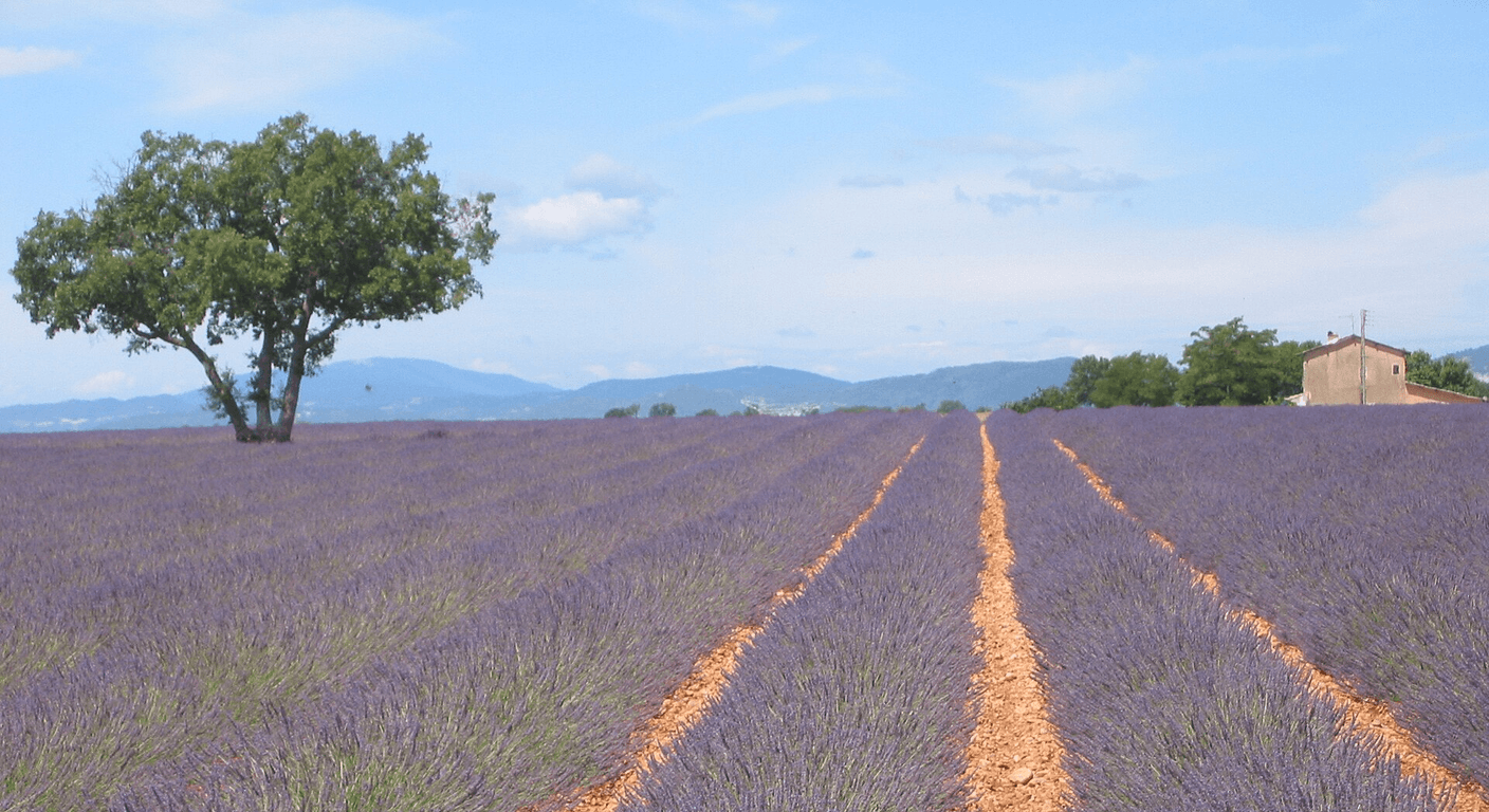 Provence for Over-50s: Markets, Villages and the Art of Not Rushing