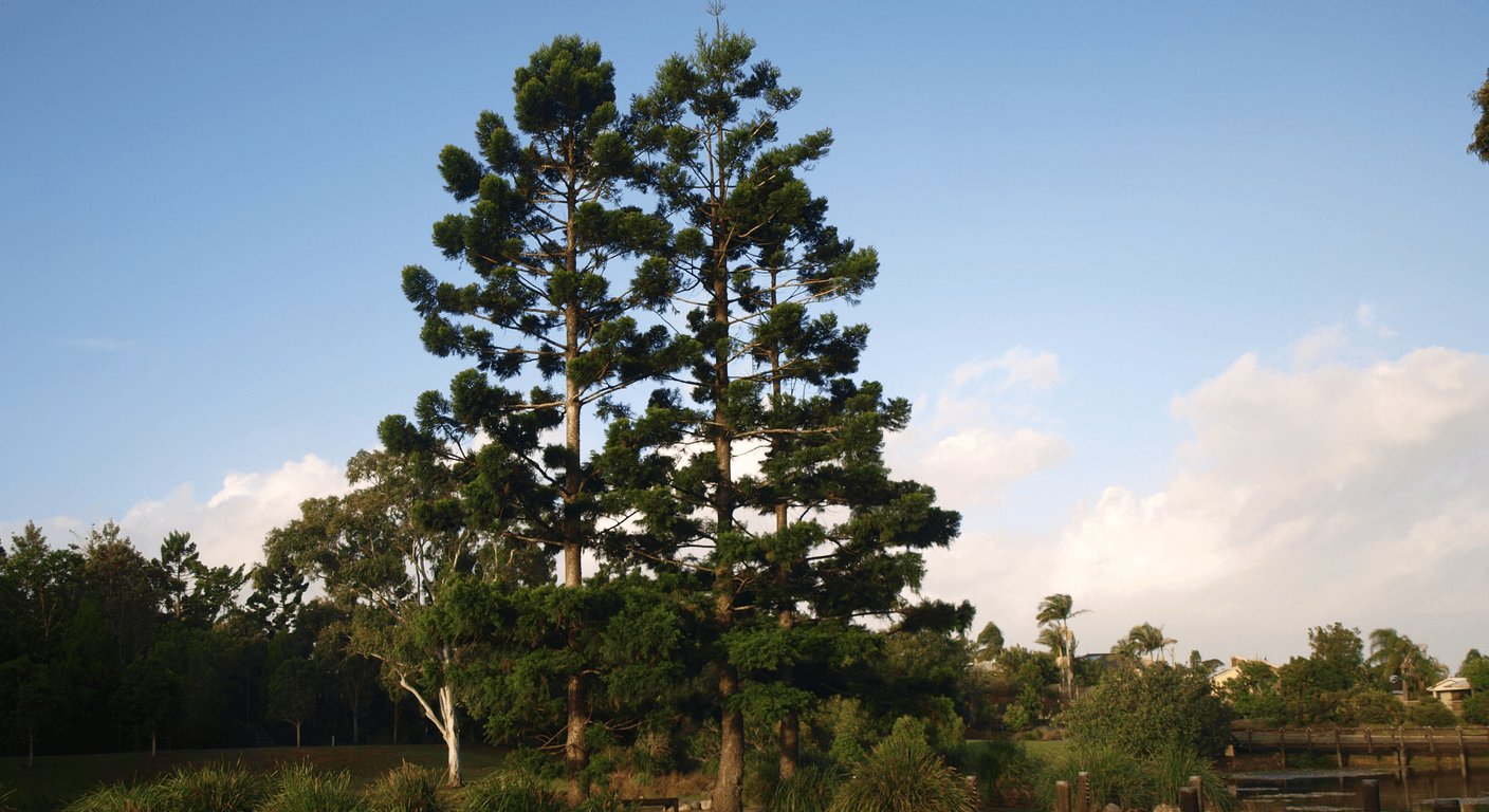 Regional Botanic Gardens Beyond the Capitals: One Per State
