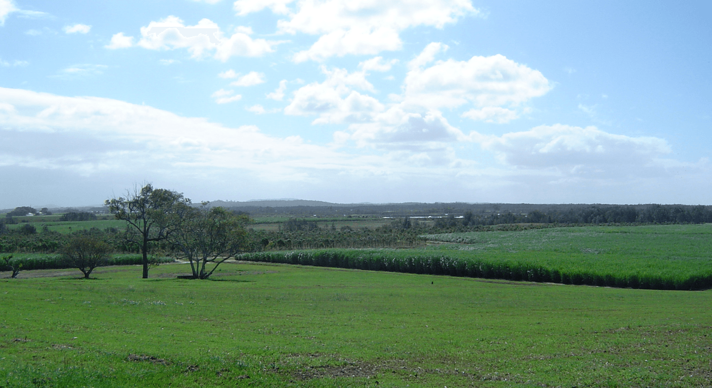 Sarina Sugar Shed: How Sugar and Rum Get Made, With Tastings