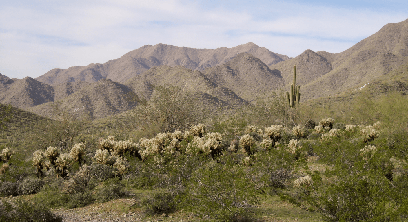 Scottsdale, Arizona: A Desert Escape for Over-50 Australian Couples