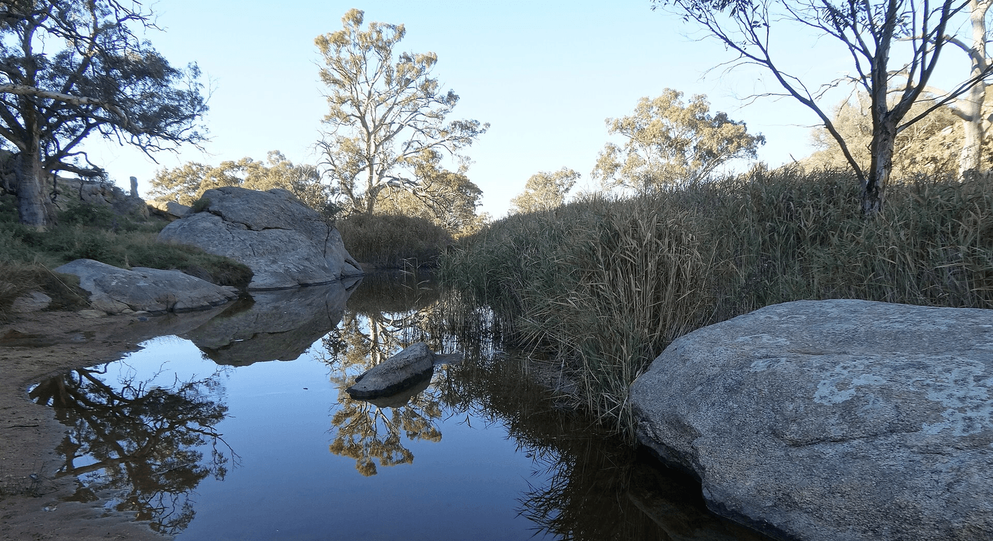 Strathalbyn: Antiques, River Gardens and Heritage Charm for Over-50s